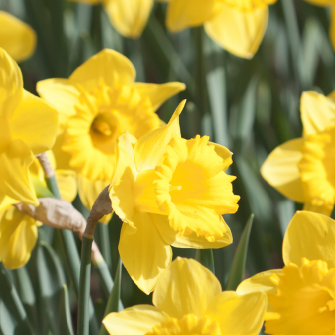 Mon week-end du 17 au 19 avril