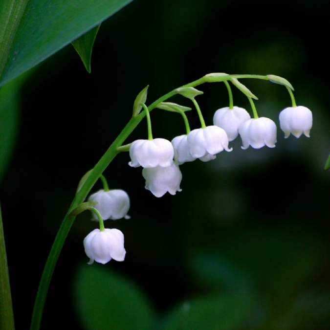 Mon week-end du 1er au 03 mai