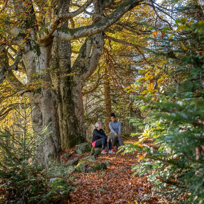 Mon week-end du 14 au 16 novembre
