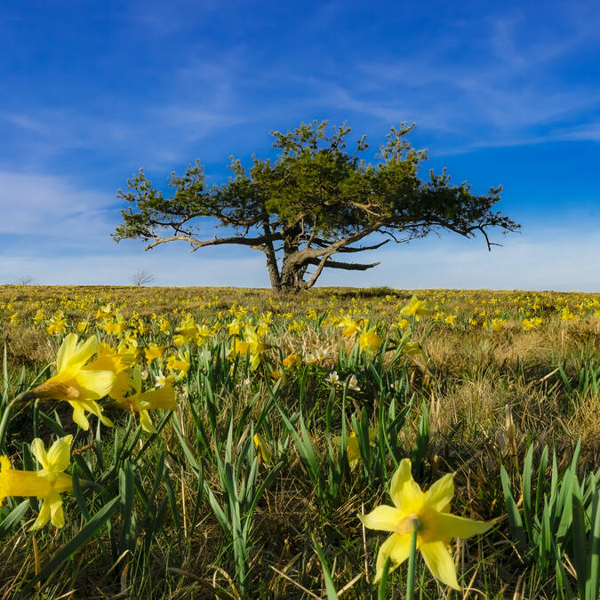 Mon week-end du 20 au 22 mars