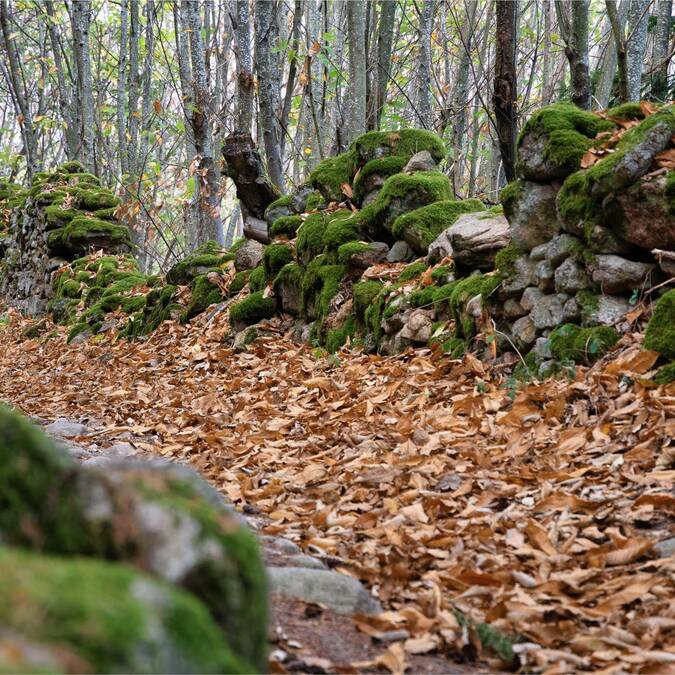 Le Pilat vous tend les bras