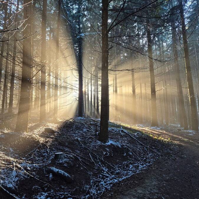 Mon week-end du 20 au 22 février