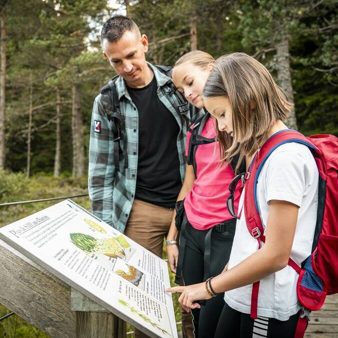 Tourbière de Gimel sentier d'interprétation Parc du Pilat
