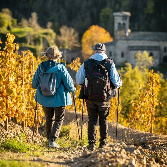 Vignobles Saint Joseph et Condrieu Malleval